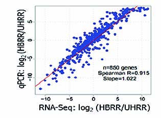 RNA-Seq_HighAccuracy