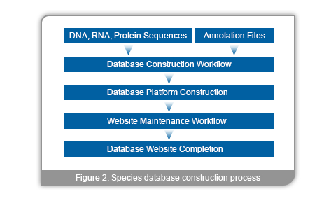 database_construction
