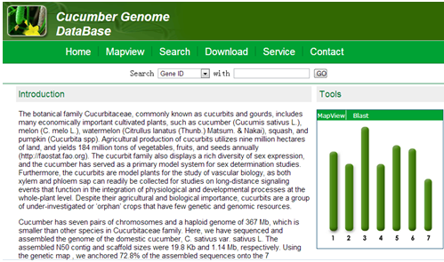 cucumber genome