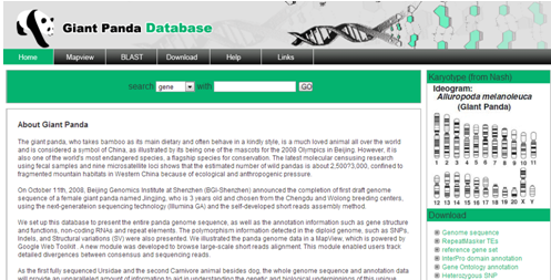 panda database