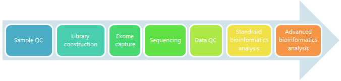 service workflow