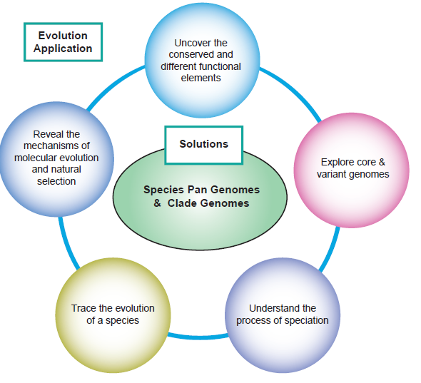 Figure 2. Evolution research based on de novo sequencing.